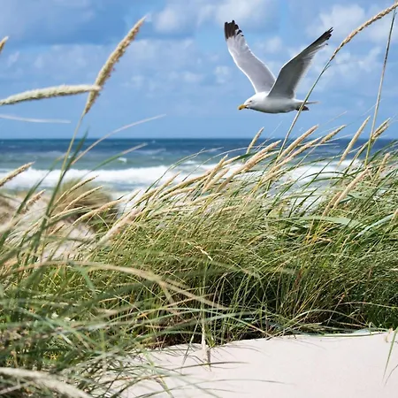 In Near Beaches Appartement *